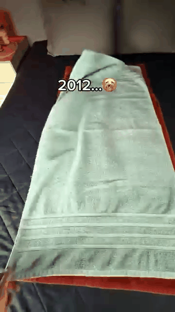 Velisse Bliss Blanket